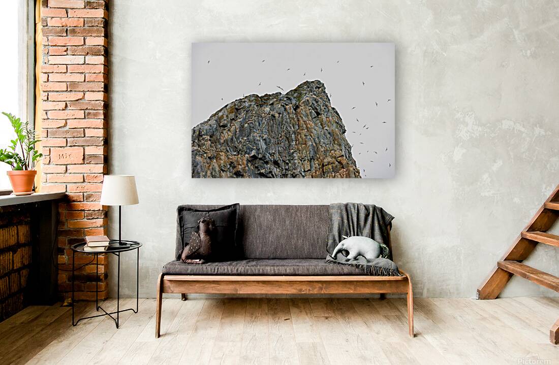 THE LIVING CLIFF Reproduction