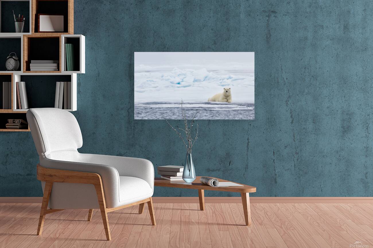 EMPRESS OF THE ARCTIC Reproduction