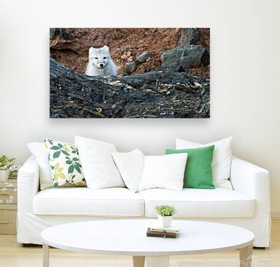 THE QUIET HUNT Reproduction