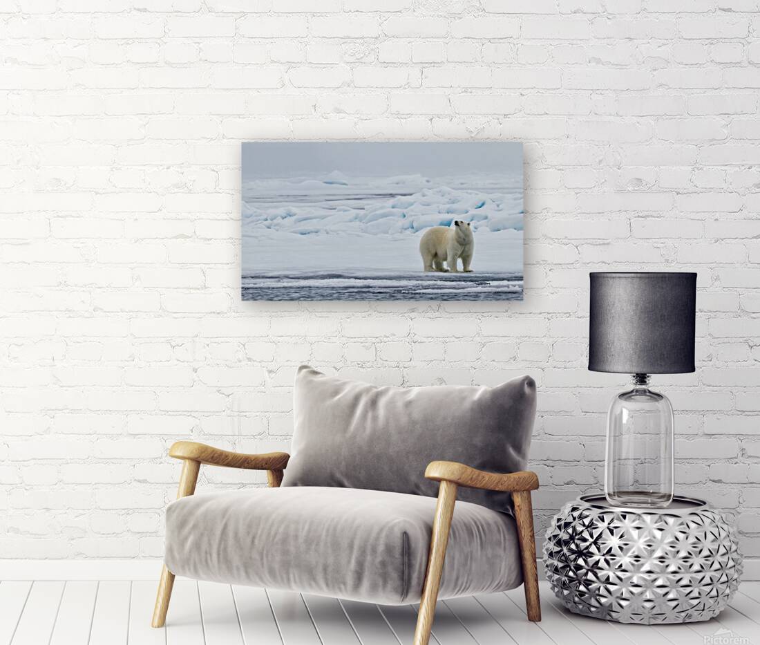 EMPRESS OF THE ARCTIC 2 Reproduction