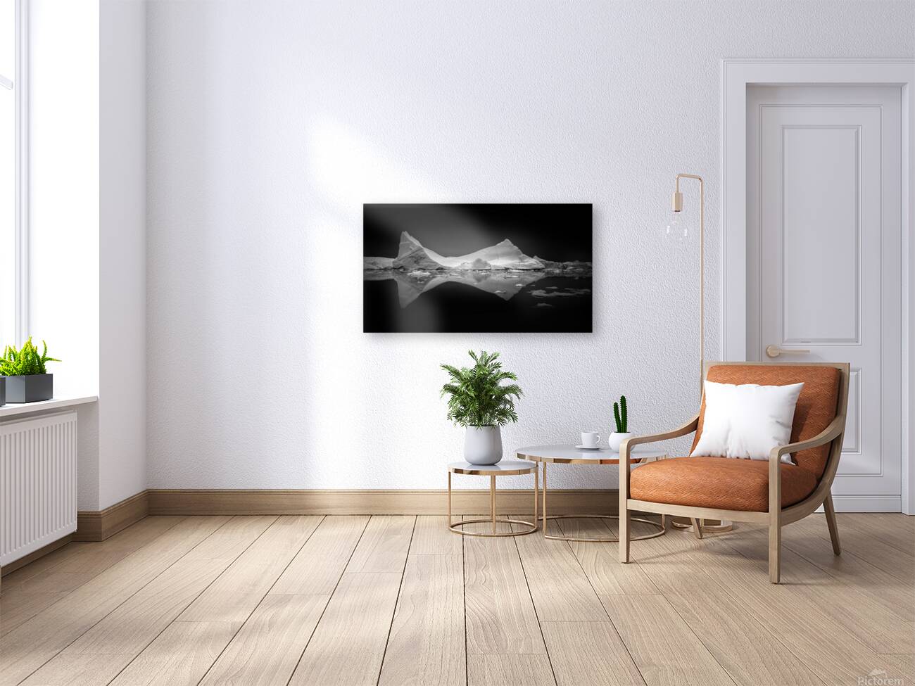 TRANQUILITY IN BLACK AND WHITE Reproduction