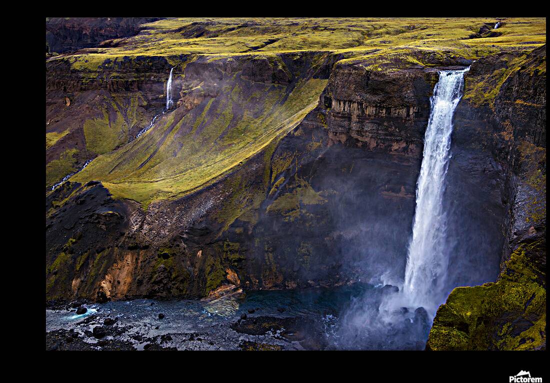 HAIFOSS Reproduction