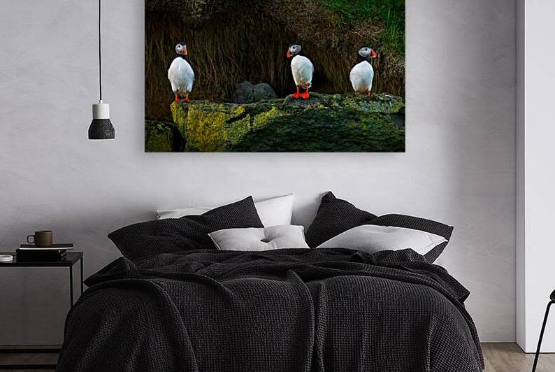 DOES ANYBODY SEE A FISH by Doug Sturgess
