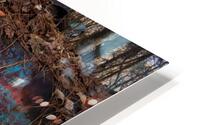 COLORFUL DECAY HD Metal print