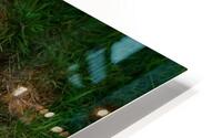 DOES ANYBODY SEE A FISH HD Metal print
