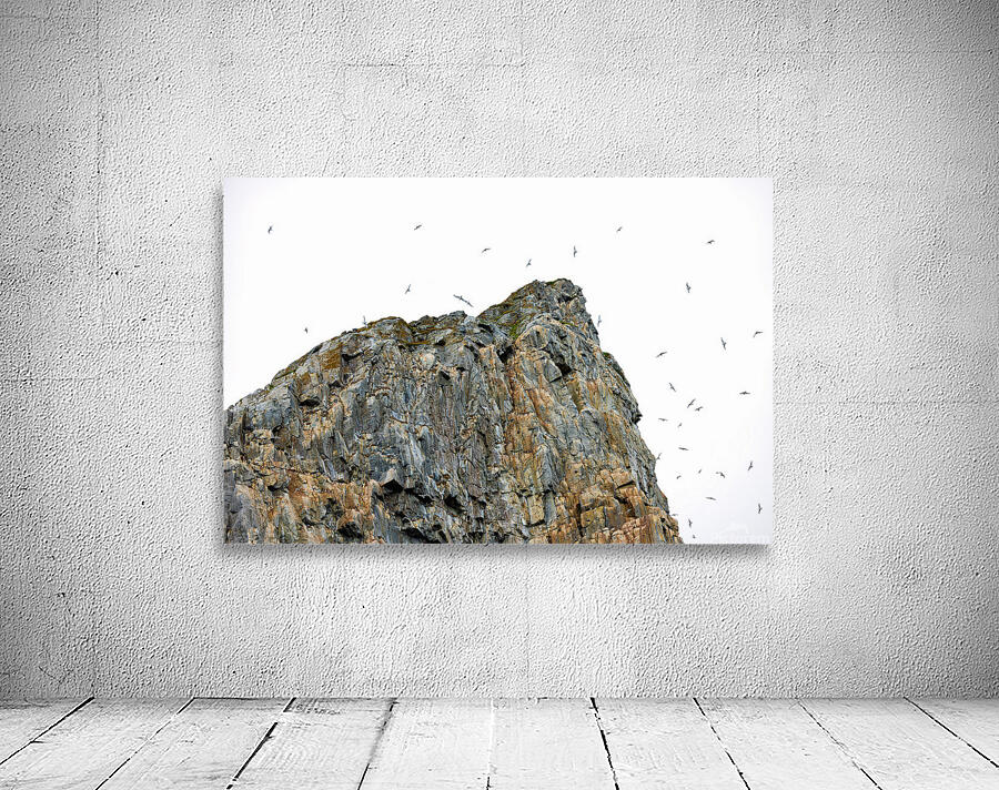 THE LIVING CLIFF Aperçu sur mur