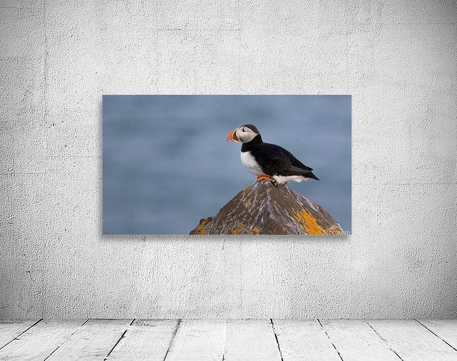 BETWEEN SEA SKY Wall Preview