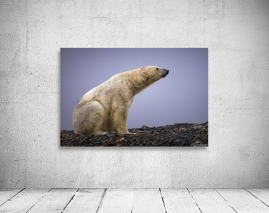 THE TASTE OF COLD AIR Wall Preview