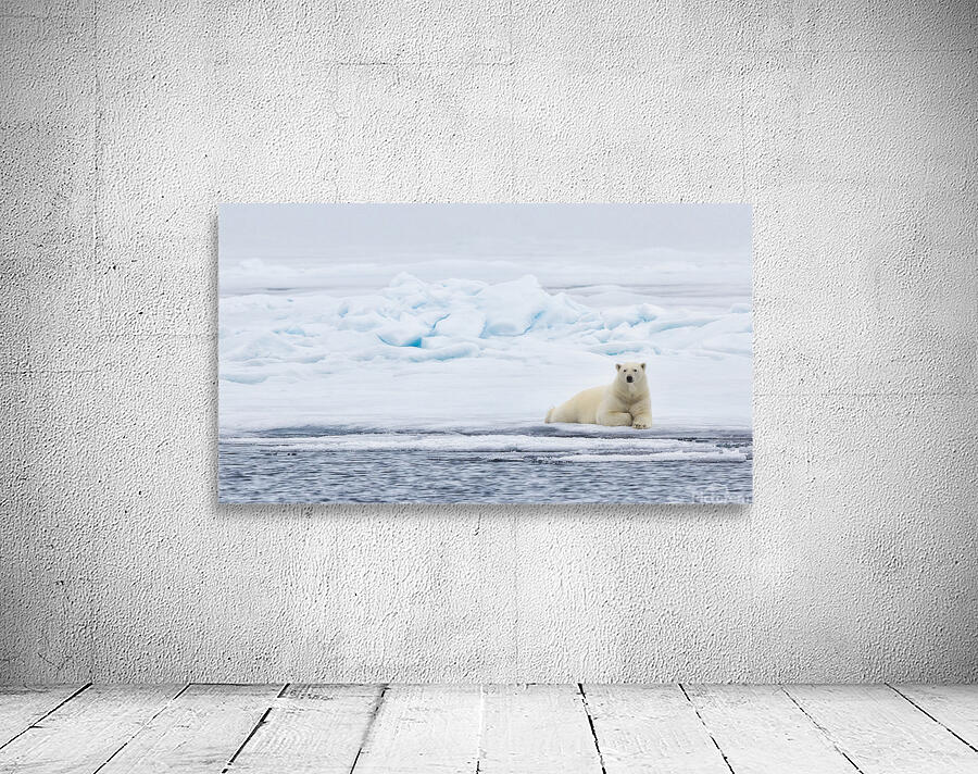 EMPRESS OF THE ARCTIC Aperçu sur mur