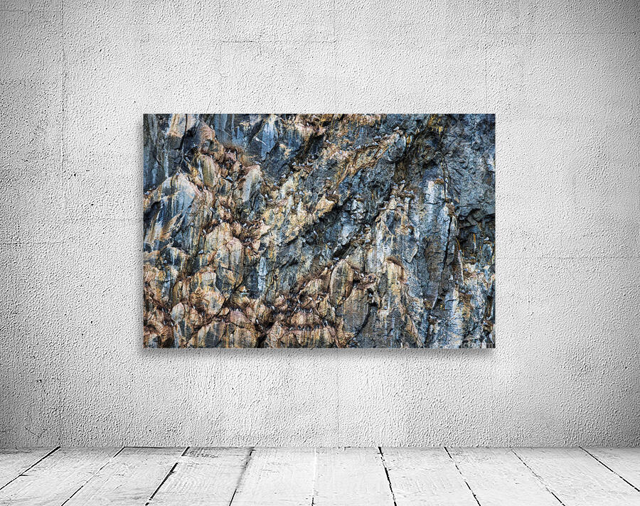 CLIFF COLONIES Wall Preview