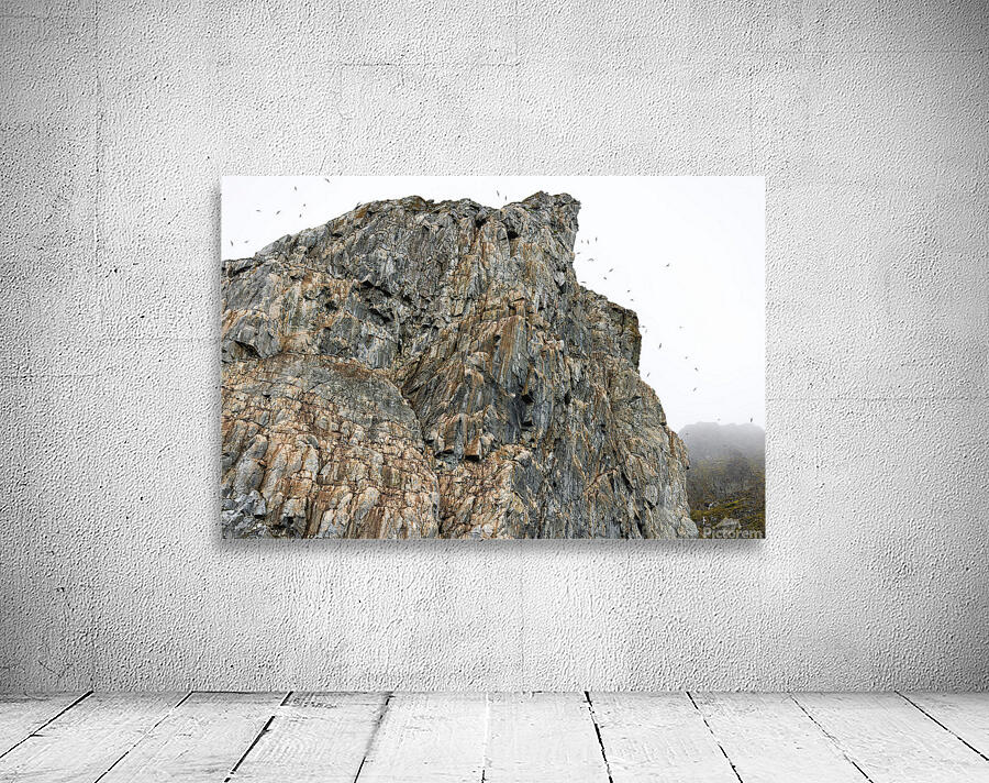 AVIAN HIGH RISE Aperçu sur mur