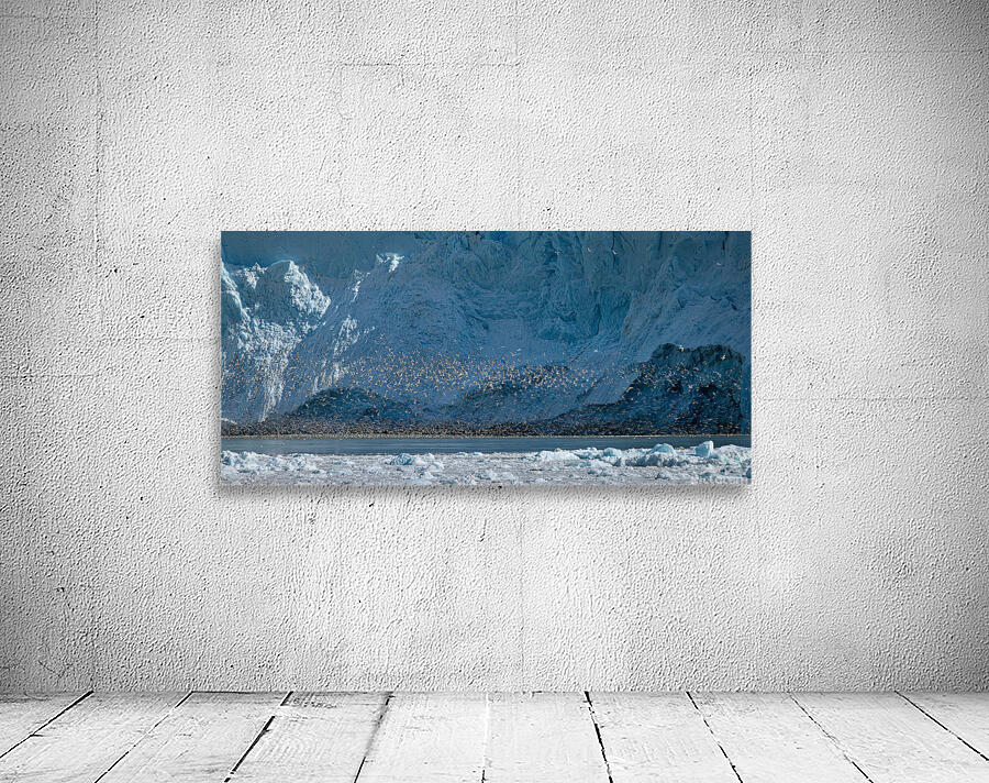 WINGS Aperçu sur mur