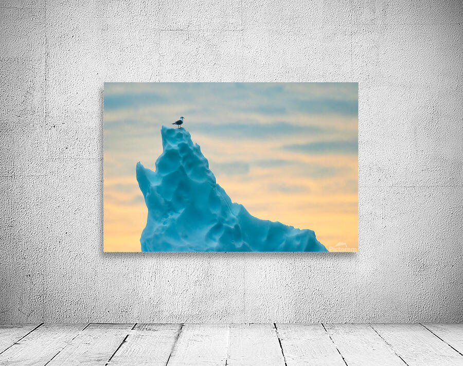 PERCHED Wall Preview