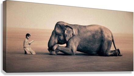 Nature Canvas Print