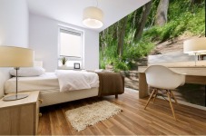 Path in the woods Mural print