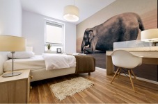 Nature Mural print