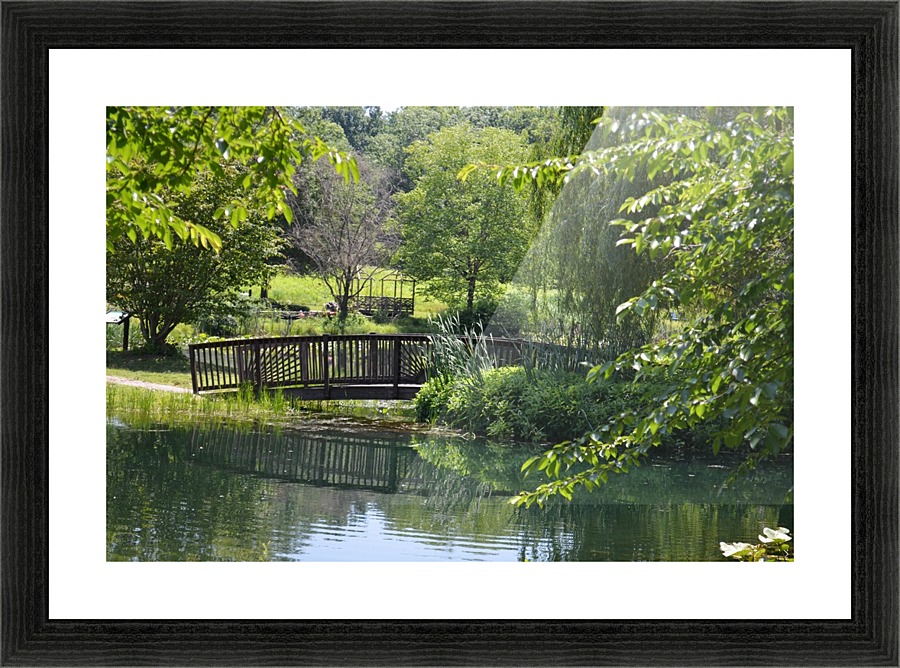 Bridge over pond Picture Frame print