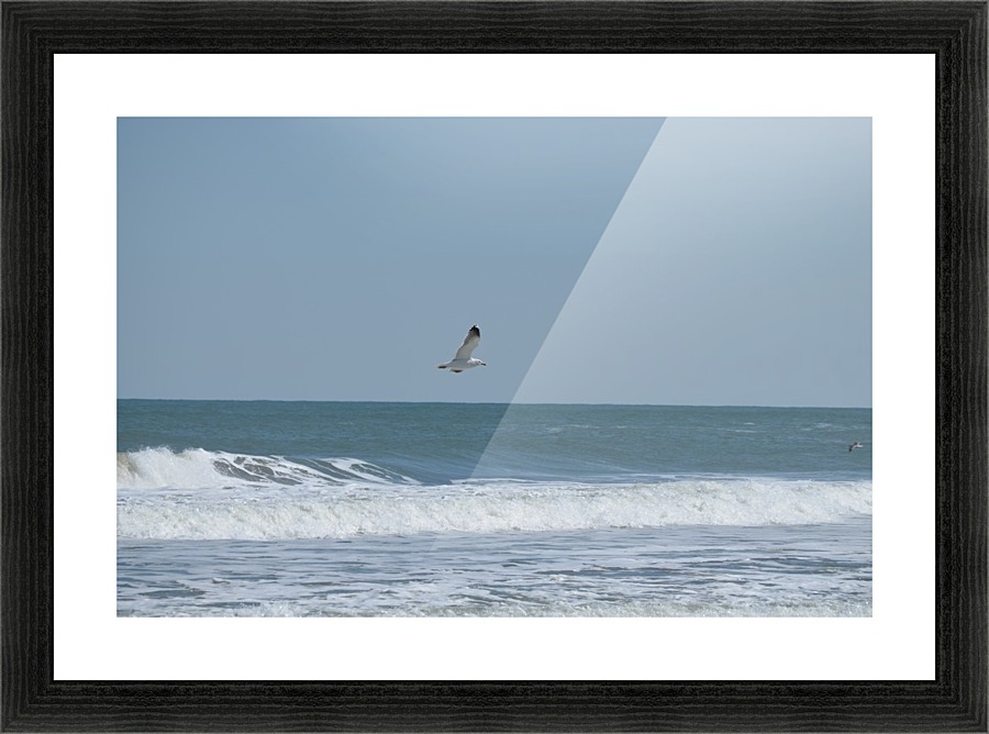 Seagull flying over waves Picture Frame print