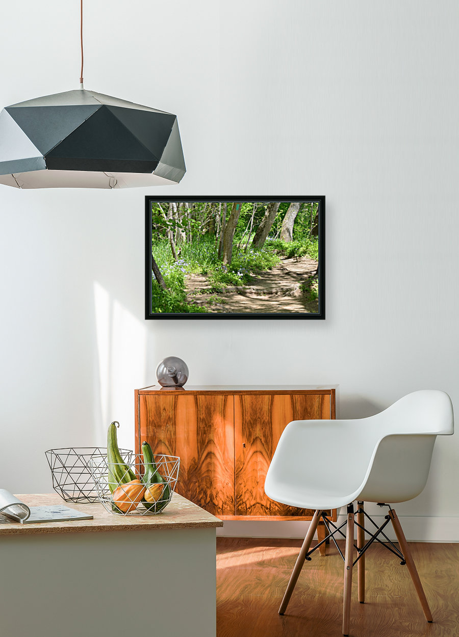 Path in the woods Reproduction