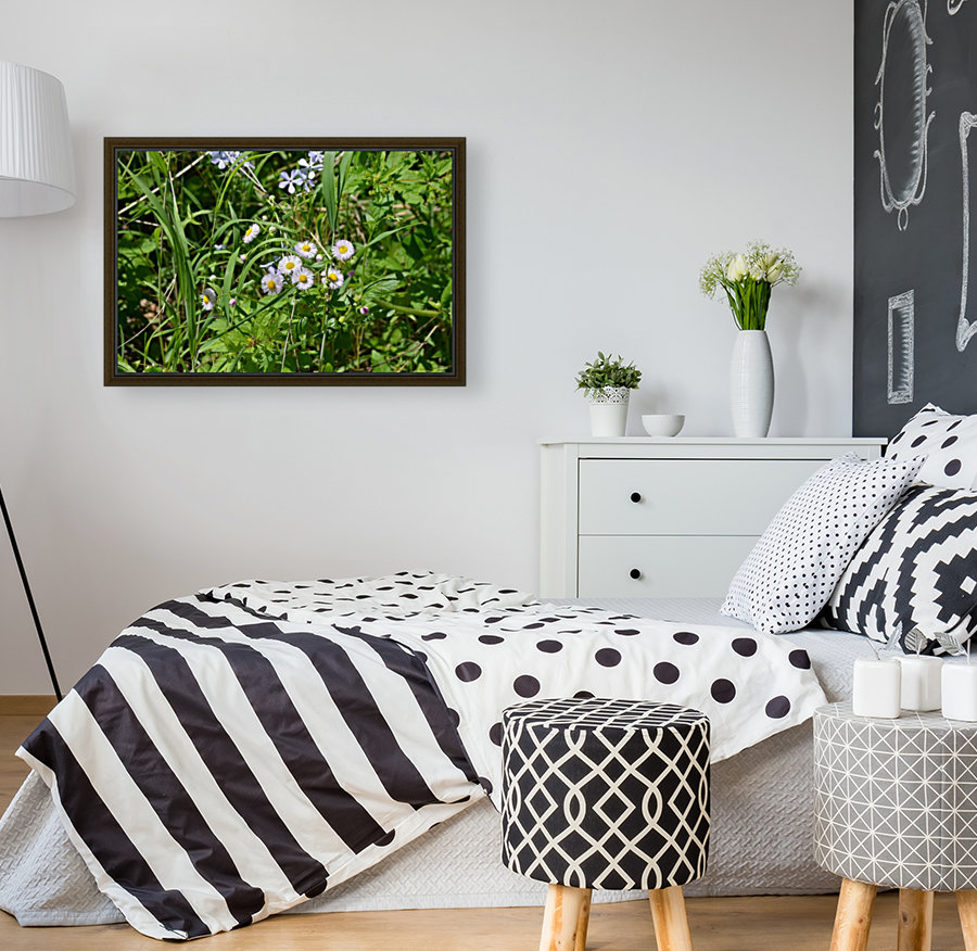 Wild flowers Reproduction