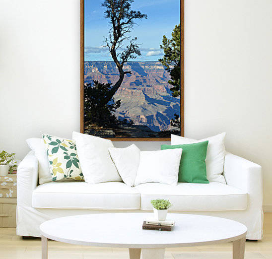 Grand Canyon tree by BK