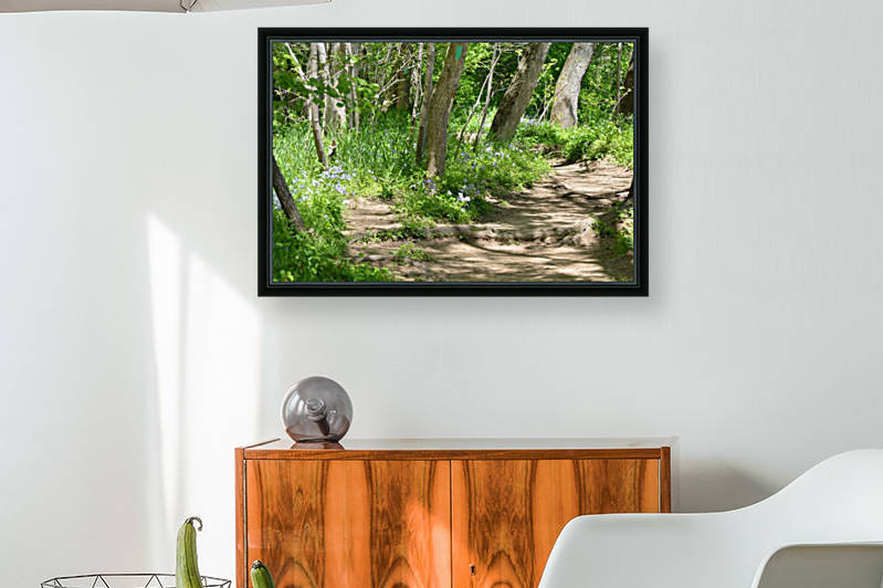 Path in the woods by BK