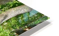 Path in the woods HD Metal print