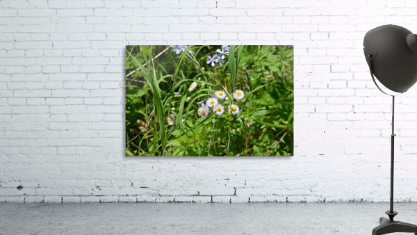 Wild flowers Wall Preview