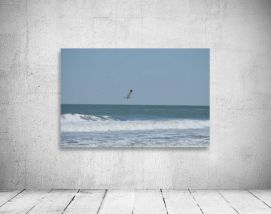 Seagull flying over waves Wall Preview
