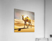 le desert  Acrylic Print