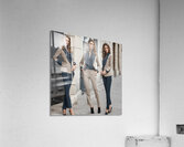 style 7 Acrylic Print