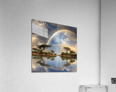 Reve nature Acrylic Print