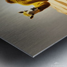 le desert  Metal print