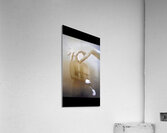 TITLE: THE SEARCH Acrylic Print