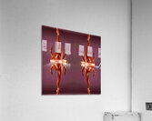 TITLE: BALLET DANCE  Acrylic Print