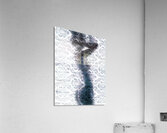 TITLE:SHOWER ENCOUNTER Acrylic Print