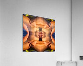 TITLE: INSTRUCTIONS   Acrylic Print