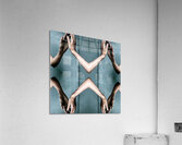 TITLE: CONSENSUS Acrylic Print