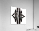 TITLE: FIGURE RECONFIGURATION Acrylic Print