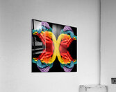 TITLE: CONNECTED STRENGTH  Acrylic Print