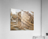 TITLE : ACSENSION Acrylic Print