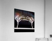 TITLE : BALLET BRAWL Acrylic Print