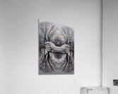 TITLE  : GROWING ROOTS Acrylic Print