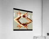 TITLE  :  AT THE SYMPHONY  Acrylic Print
