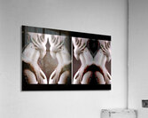 TITLE: EMBRACEMENT Acrylic Print