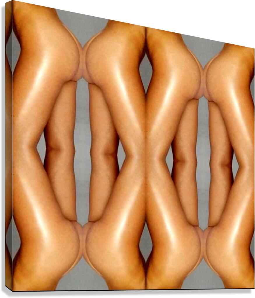 TITLE: FEMININE FORM COMPOSITION  Canvas Print