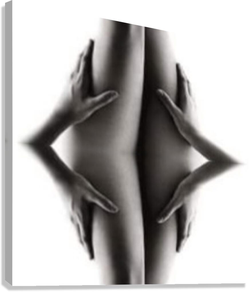 TITLE: FIGURE RECONFIGURATION Canvas Print