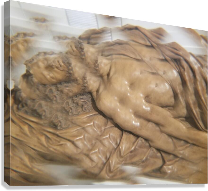TITLE : ACSENSION Canvas Print