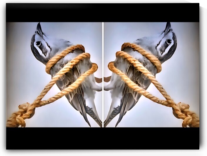 restriction 20250905 202438 Gallery by Salvatore Zagami Fine Art