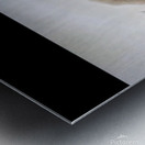 TITLE: THE SEARCH Metal print